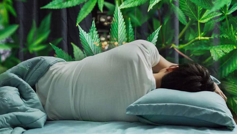 Tratar el insomnio con cannabis