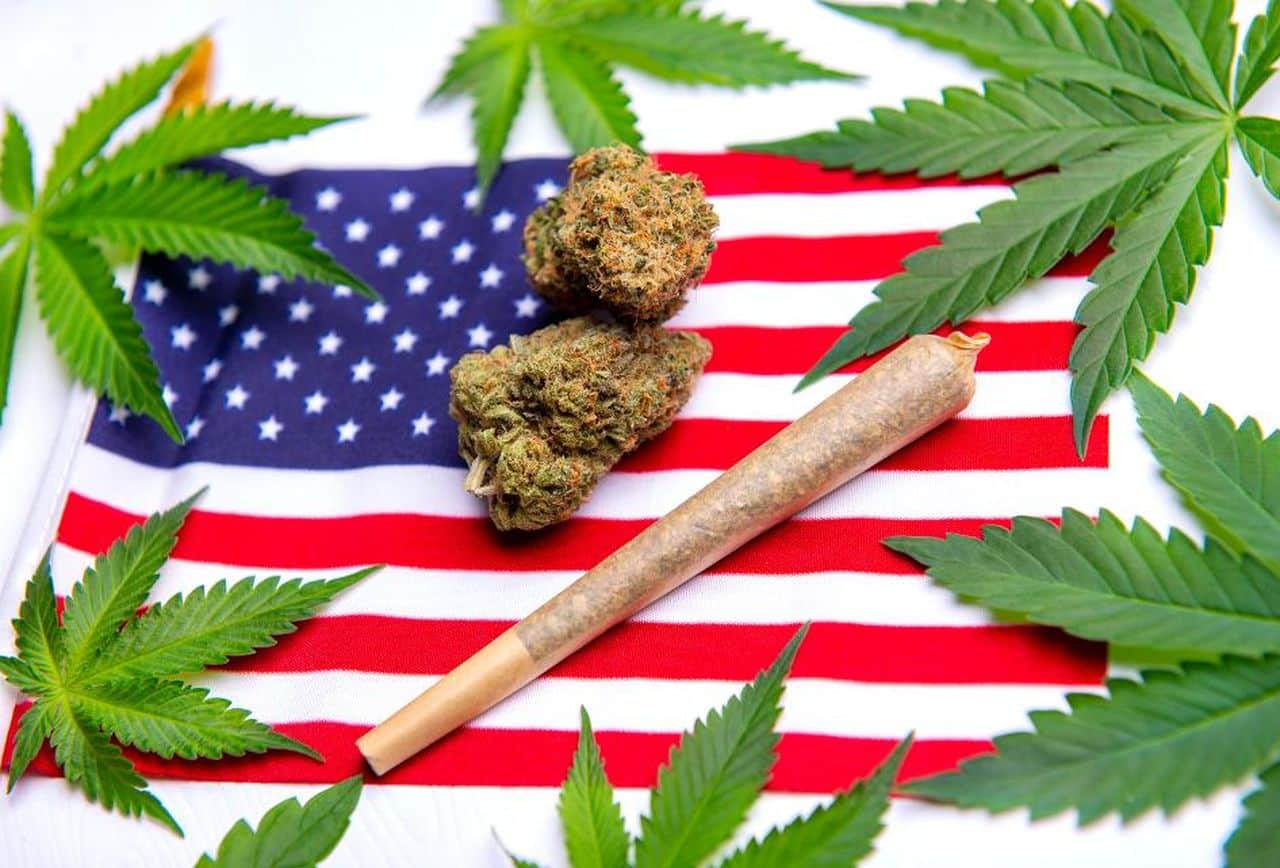Los mejores dispensarios de cannabis en USA