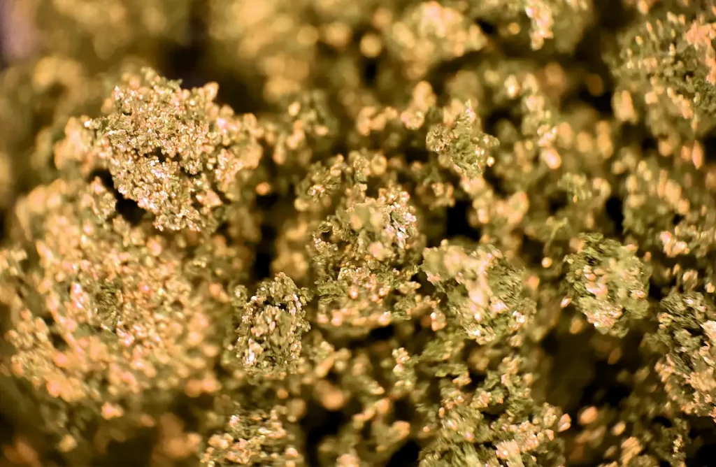 Limiter le cannabis Club de Barcelone
