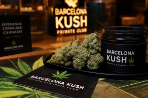 Qué es el Kush