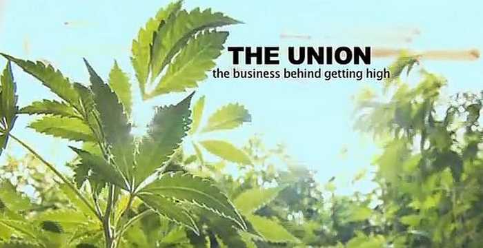 Documentales sobre el cannabis que no te puedes perder